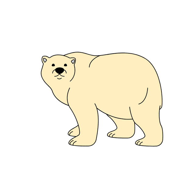 bear
